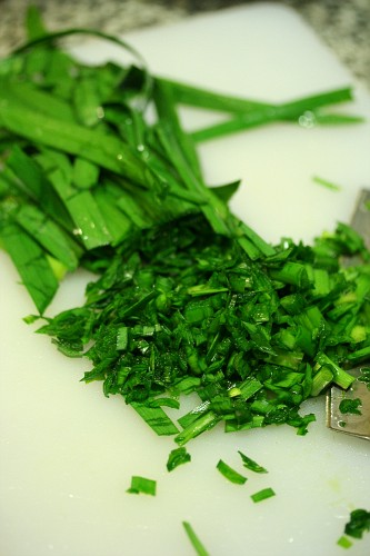 chives