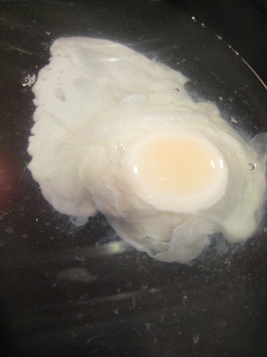 cooking egg