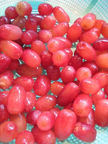 clean grapes