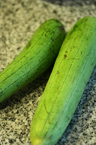 sigua loofah squash
