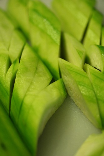 cut sigua loofah squash