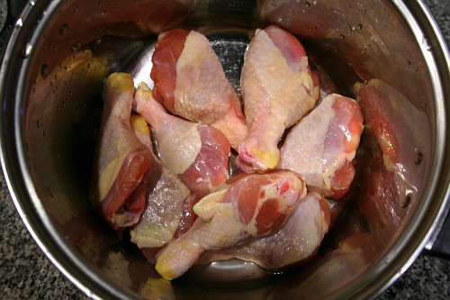 chicken