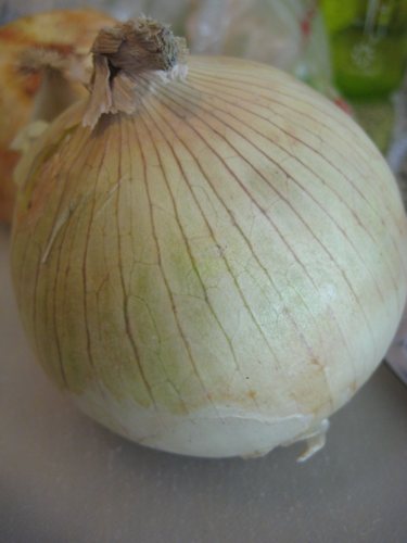 onion (1)