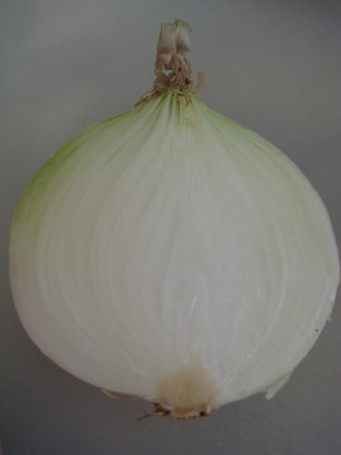 onion (2)